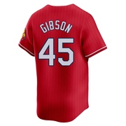 Bob Gibson Youth St. Louis Cardinals 2024 City Connect Jersey - Red Limited