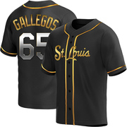 Giovanny Gallegos Youth St. Louis Cardinals Alternate Jersey - Black Golden Replica