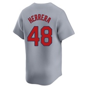 Ivan Herrera Youth St. Louis Cardinals Away Jersey - Gray Limited