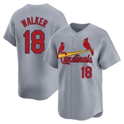 Jordan Walker Men's St. Louis Cardinals Away Jersey - Gray Limited