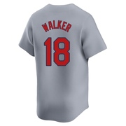 Jordan Walker Men's St. Louis Cardinals Away Jersey - Gray Limited