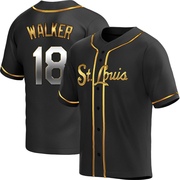 Jordan Walker Youth St. Louis Cardinals Alternate Jersey - Black Golden Replica