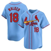 Jordan Walker Youth St. Louis Cardinals Alternate Jersey - Light Blue Limited