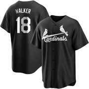 Jordan Walker Youth St. Louis Cardinals Jersey - Black/White Replica